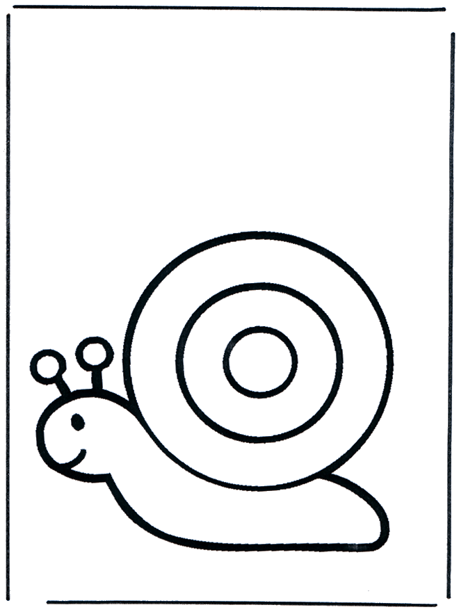 Snail 1 - Zoo