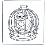 Animals coloring pages - Snow owl