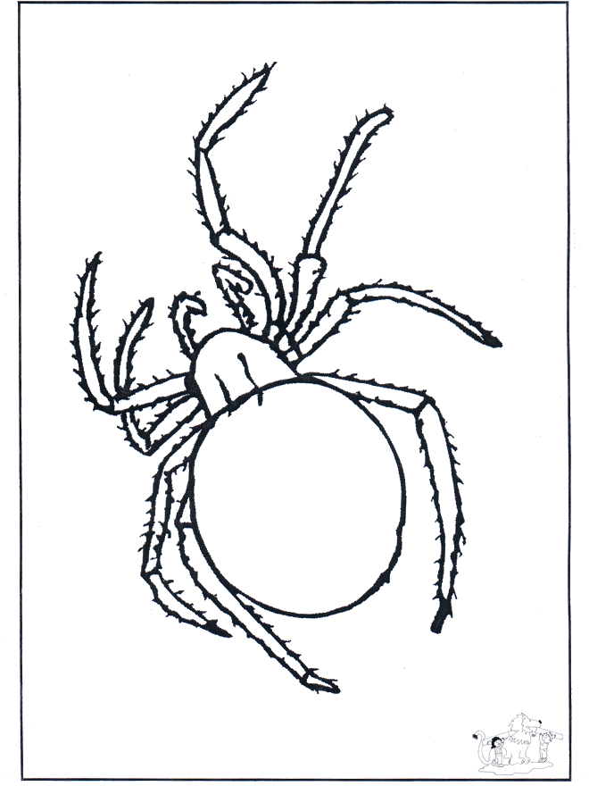 Spider - Insects coloring page