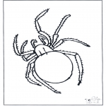 Animals coloring pages - Spider