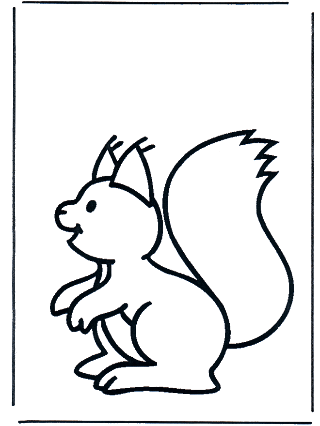 Squirrel 1 - Rodents
