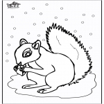 Animals coloring pages - Squirrel 5