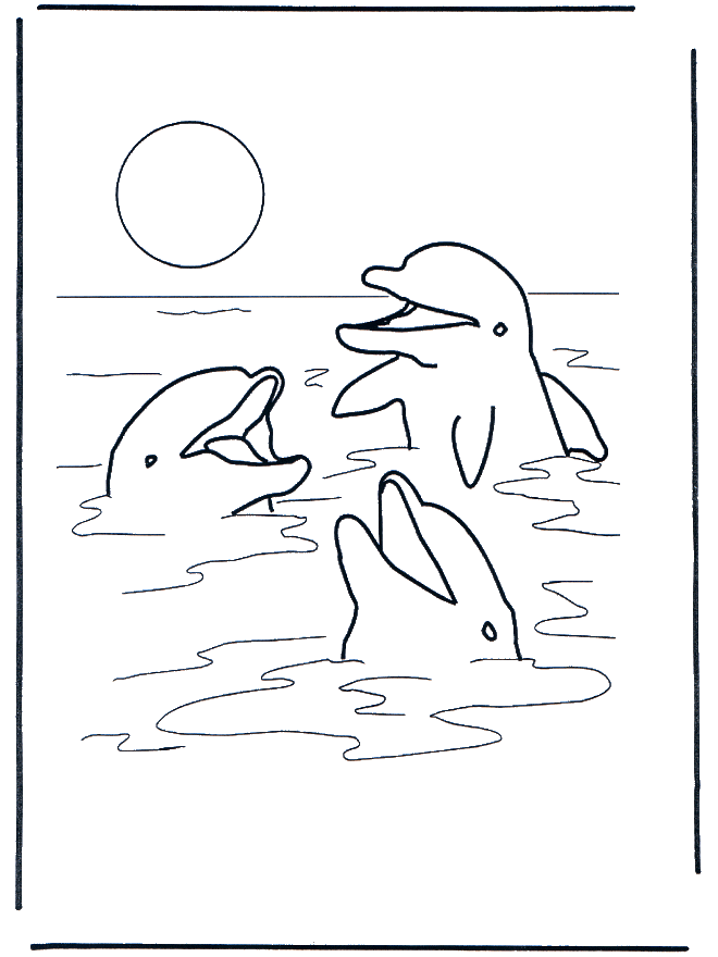 Three dolphins - Water Animals