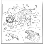 Animals coloring pages - Tiger 3