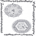 Mandala Coloring Pages - Two mandalas 9