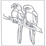 Animals coloring pages - Two parrots