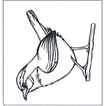 Animals coloring pages - Wren